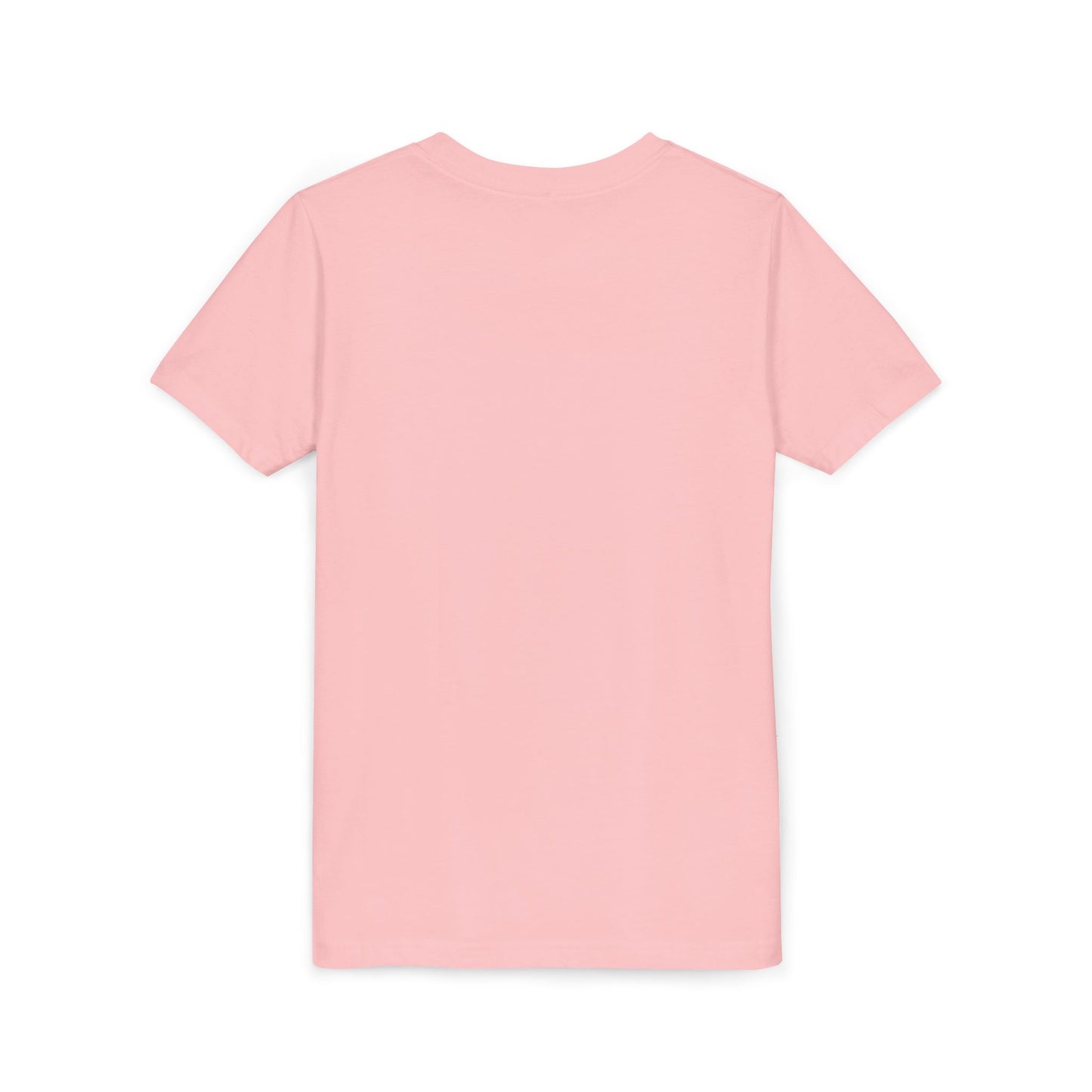 Saint Clair School Youth Shirt, Kids Sportswear, School Spirit Apparel, Back to School